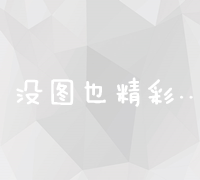 创新互联网营销策略：精准触达与高效转化之道